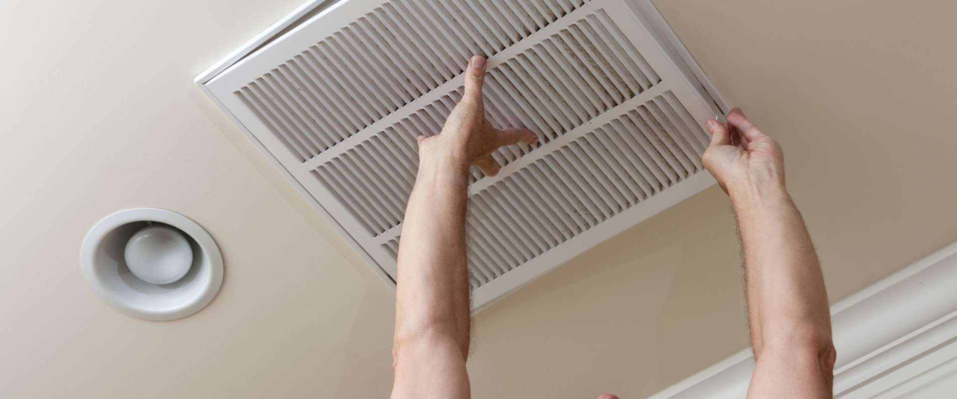 Why You Need an Air Filter in Your Home