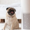 Are Washable Air Filters the Right Choice for Your Home?