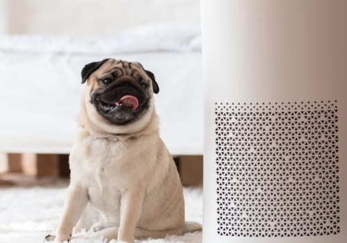 Are Washable Air Purifier Filters Good?